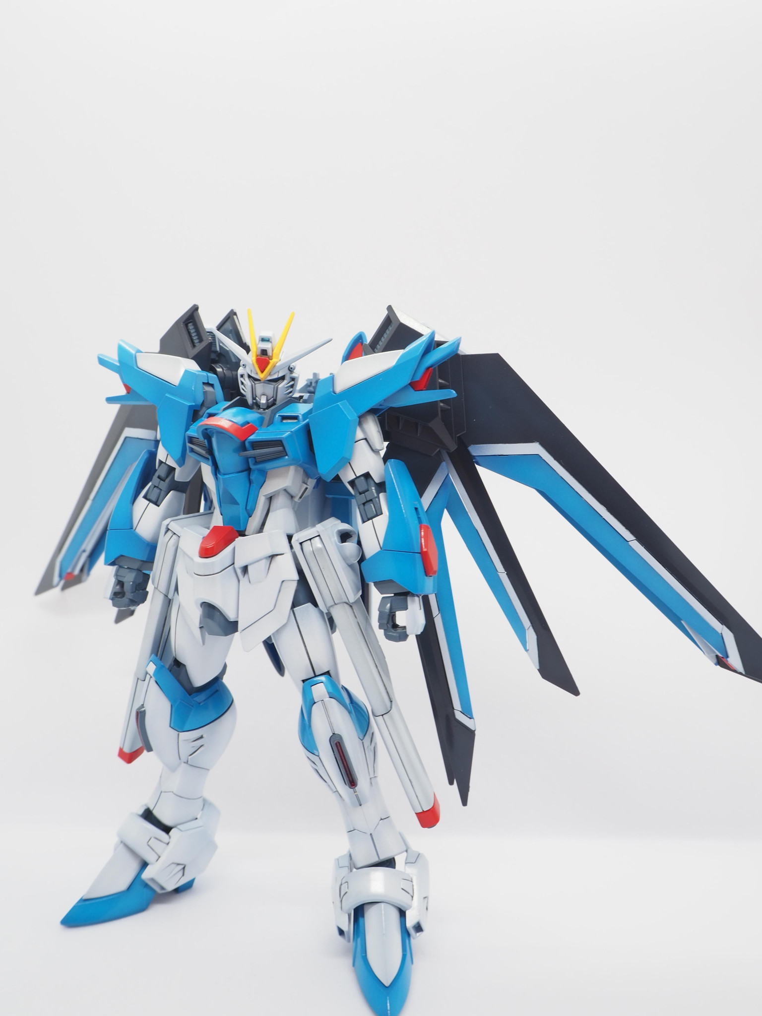 驚きの価格 HG ライジングフリーダムガンダム 全塗装 完成品 