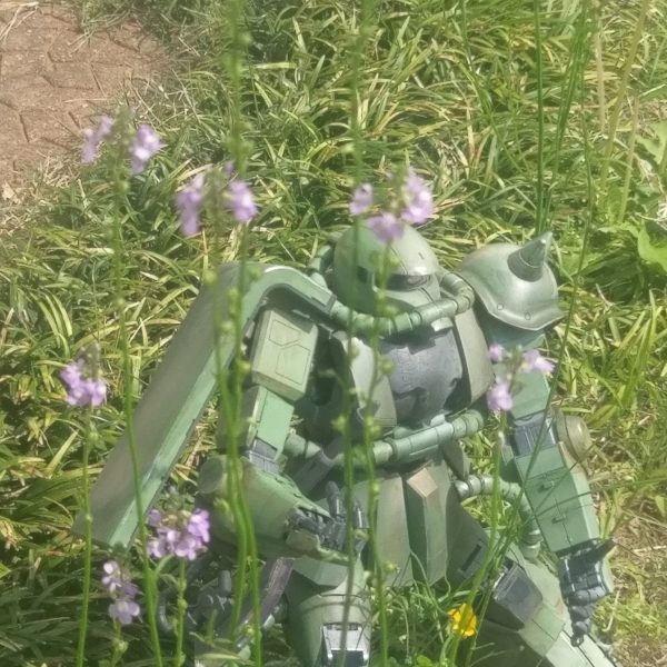 初投稿です。まずは、ザクⅡです。よかったらいいねよろしく