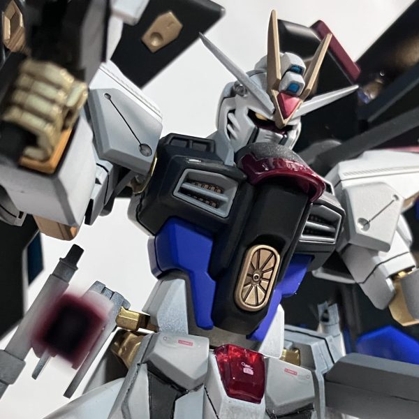 HGCEストライクフリーダムガンダム　光の翼エフェクト付き