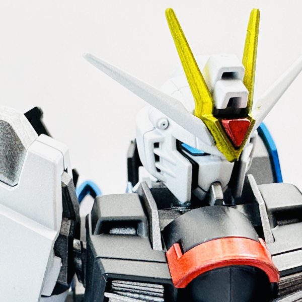 ライジングフリーダム