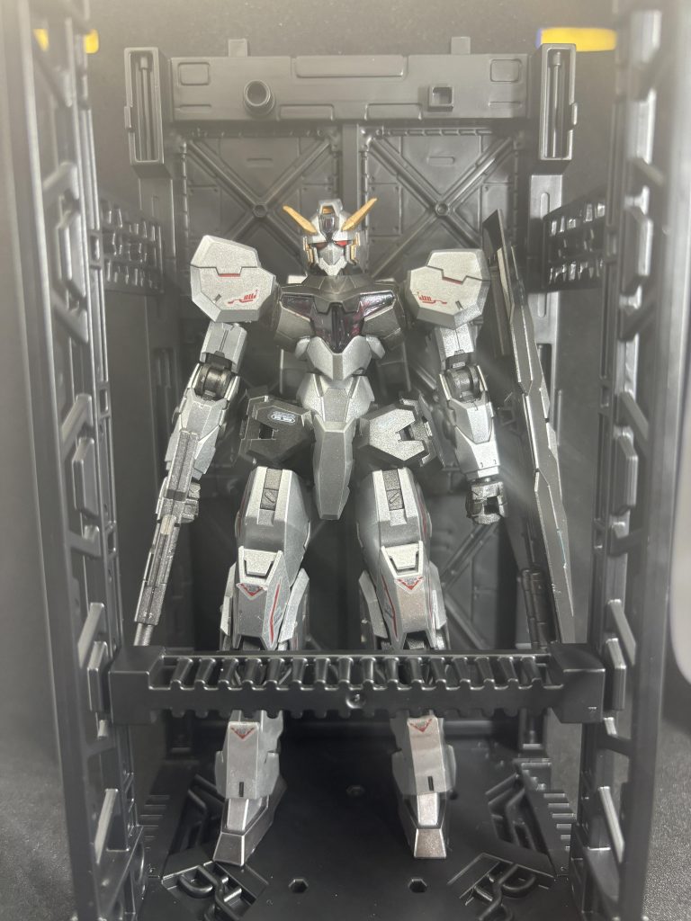 100均格納庫IN 小さめなのですっぽりです。