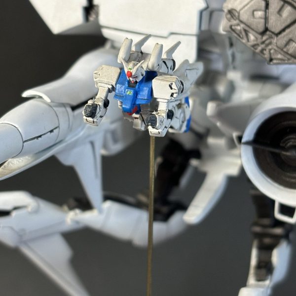 1／550 デンドロビウム