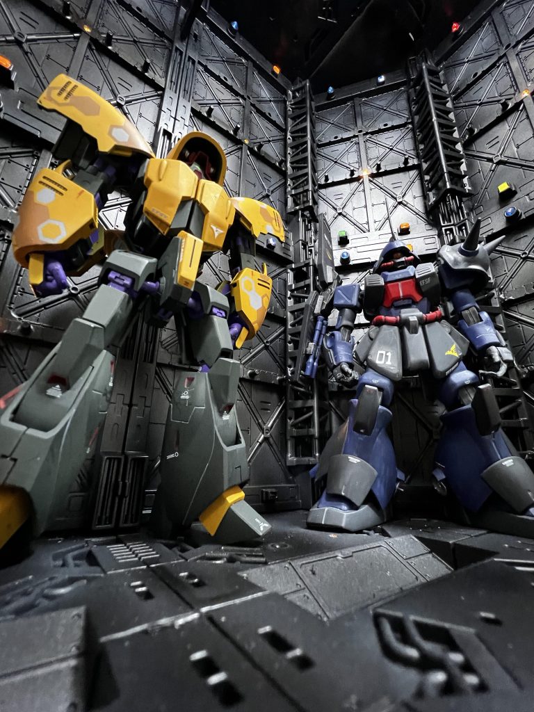 アオリで、、、