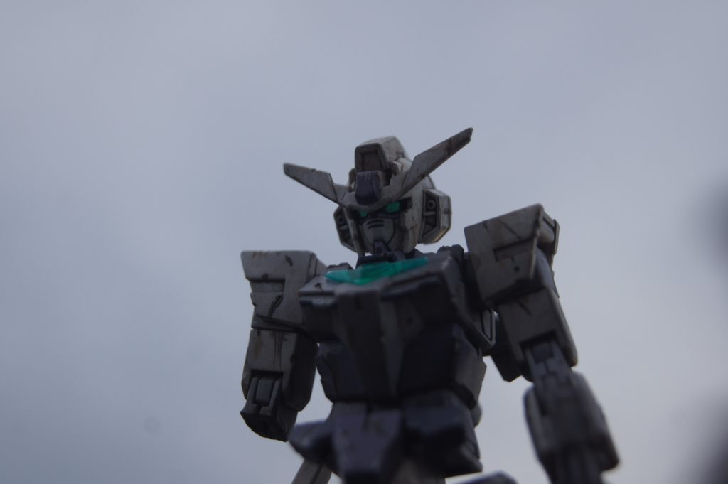 イメージを優先して曇りの日に撮りました。