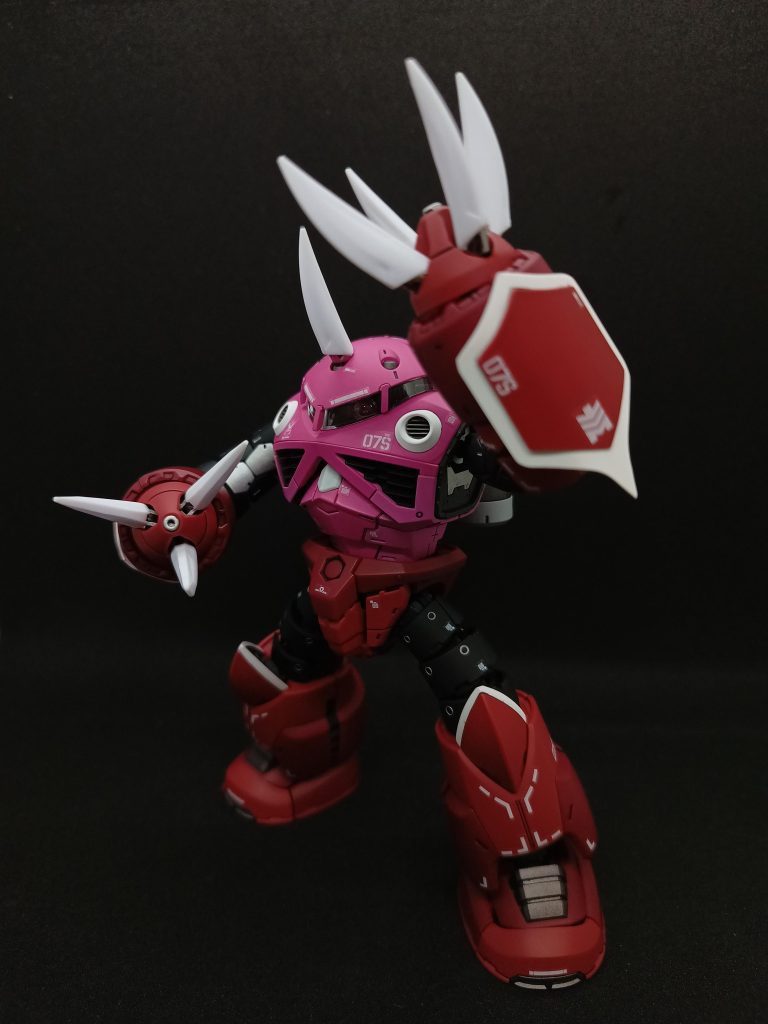 RG ズゴック Ver.令和風–5枚目/制作者:kuro@-12