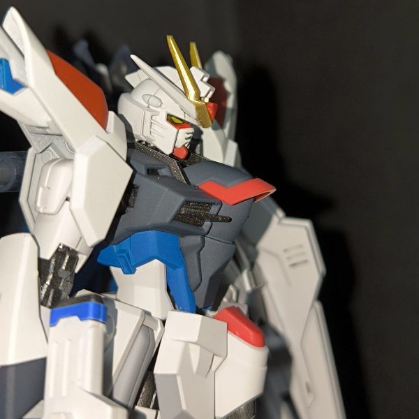 HGライジングフリーダムを塗装、改修