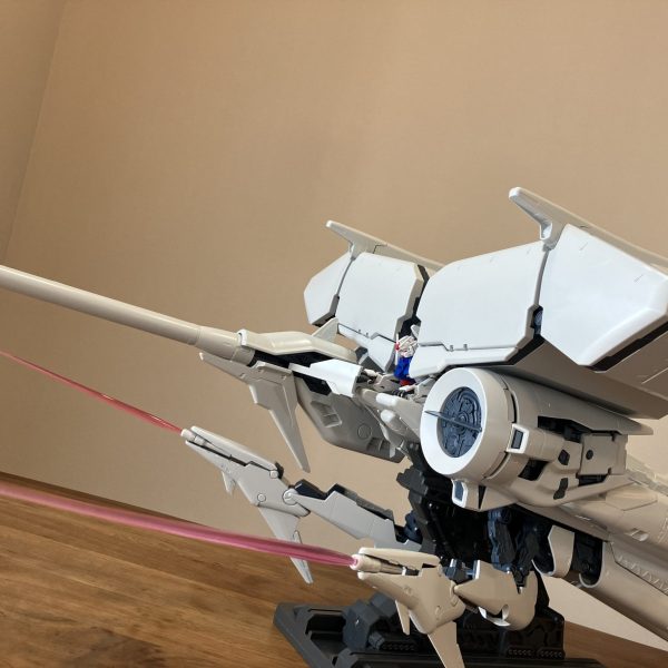 デンドロビウム