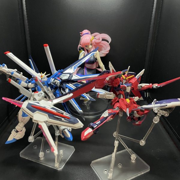 『愛しているから必要なのです！』 #ガンダムSEEDFREEDOM