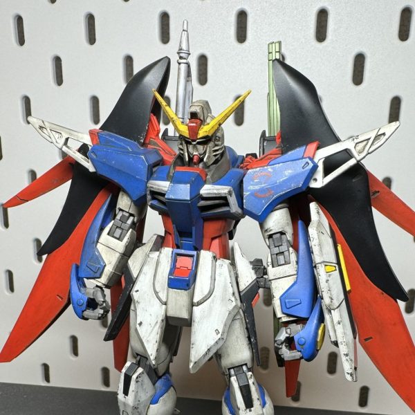 HG デスティニー