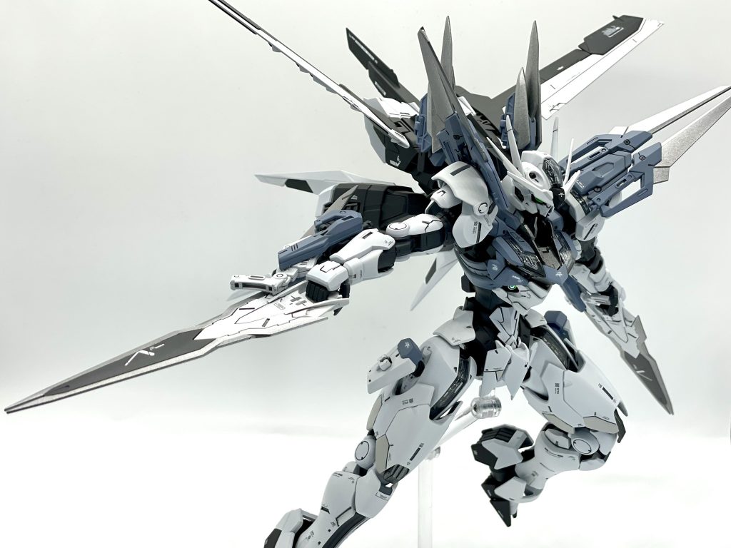 ソードドラグーン装備