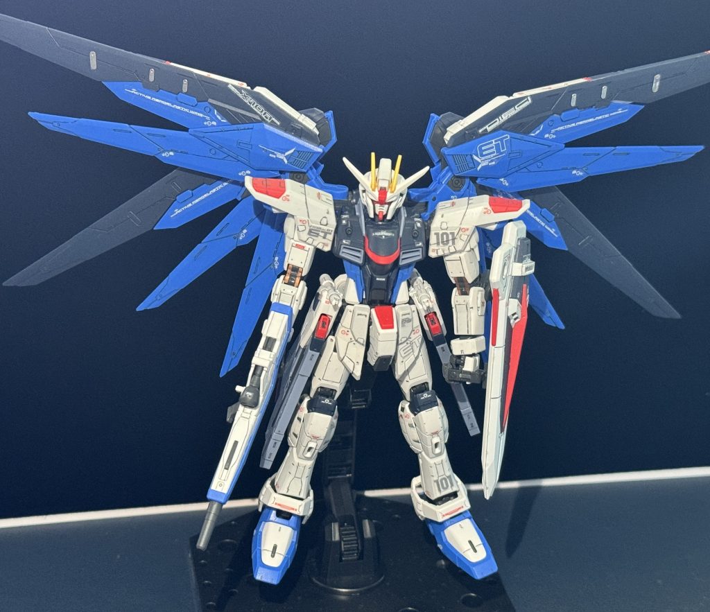 ウイングを広げて撮影。ちょっと左右のバランスが悪いかも？