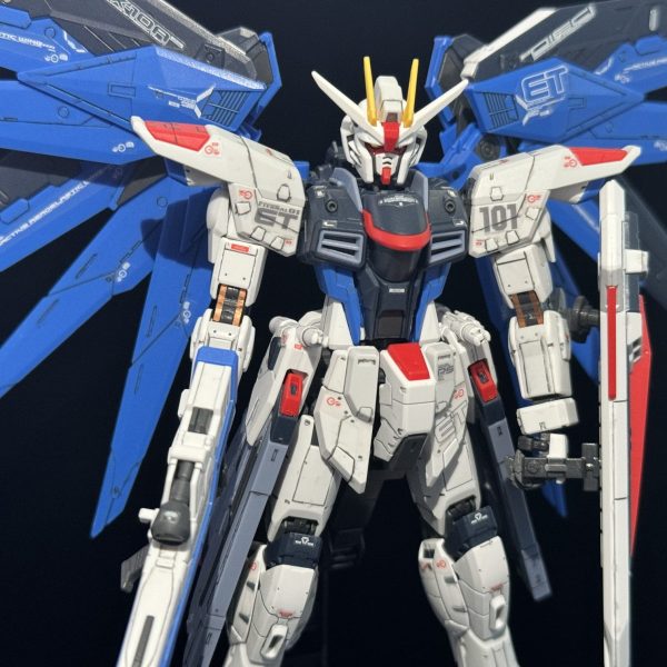 RG フリーダムガンダム