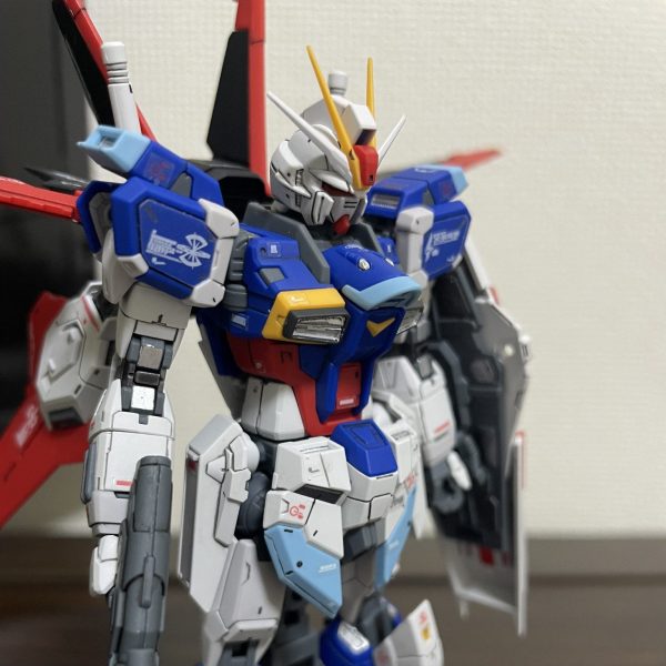 【ガチ塗装なしディテールアップ】RG フォースインパルスガンダム