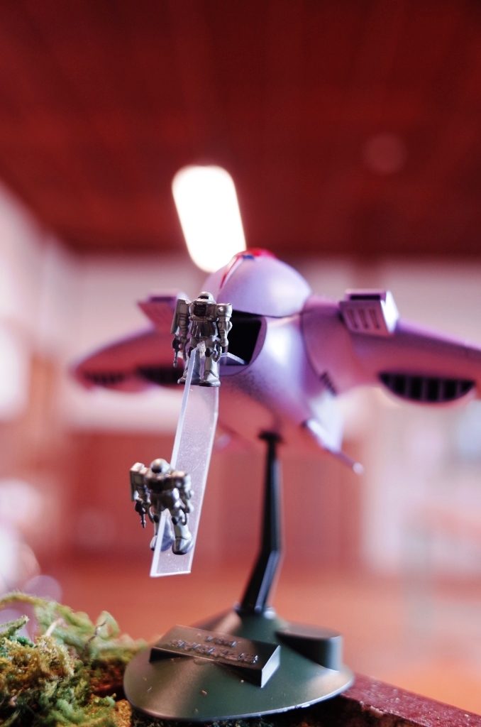 お気に入りのガウ