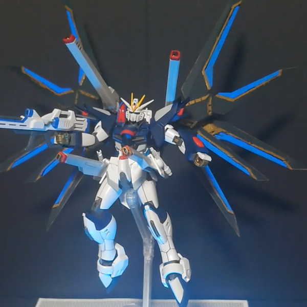 ライジングフリーダムverストフリ