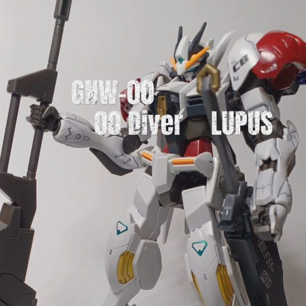 ダブルオーダイバールプス