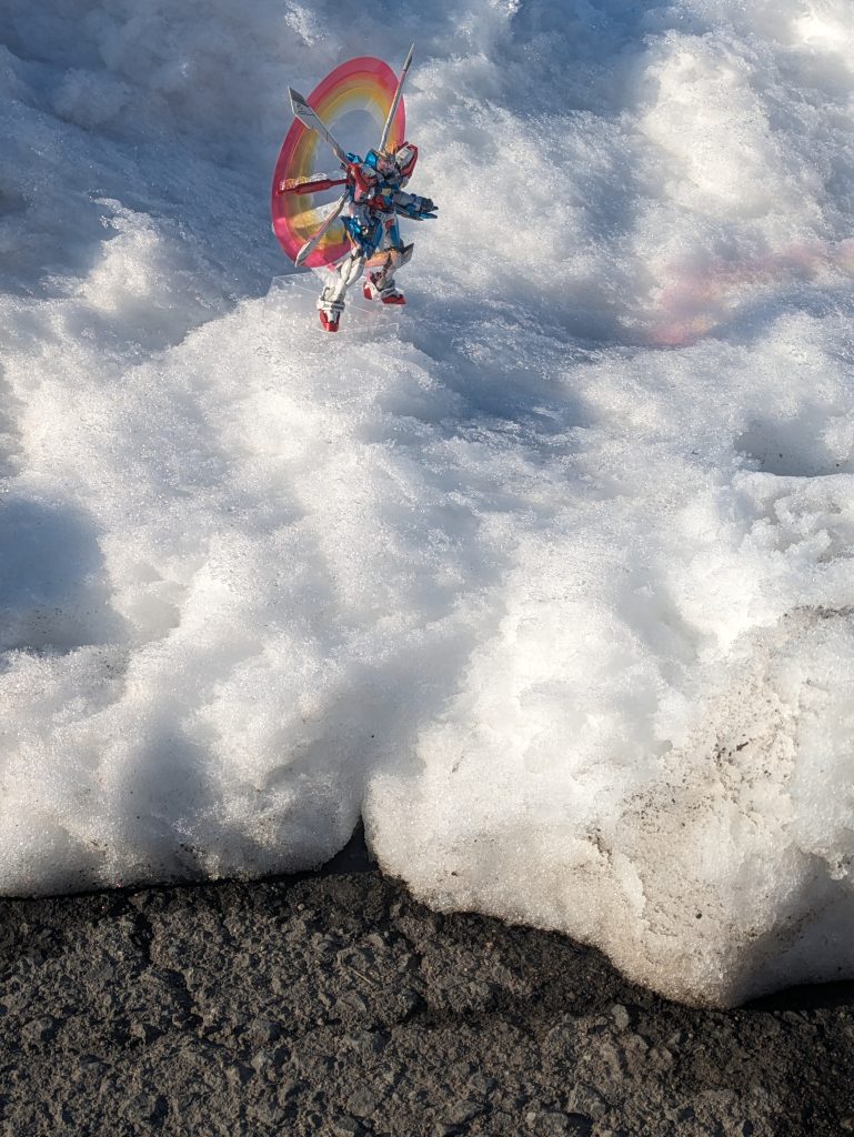家の敷地内で…40cmは積もってるかなぁ…天然の雪山オブジェ…