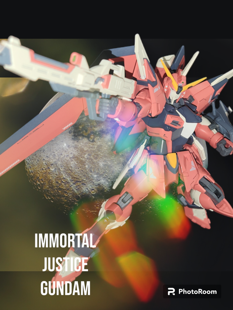 やっぱりSeed撃ちはやっとかないと！最後まで見て下さりありがとうございます！次はライジングフリーダムの予定です！