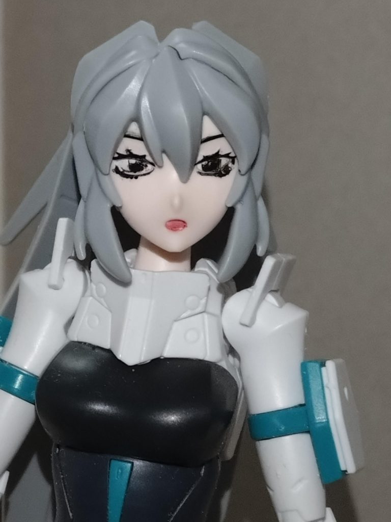 ペイントが若干剥げていますが、眉毛などのペイントはガンダムマーカー(拭き取りタイプ)を使用しています。フェイスパーツは他に2点とメカ顔1点がありますが、ここでは不使用としました。