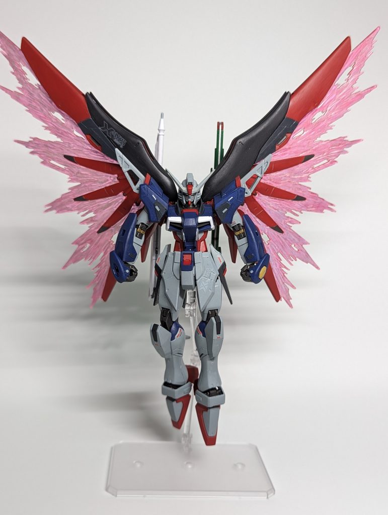 ディスティニーOPでの羽を広げた姿