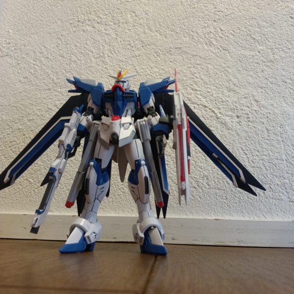 ライジングフリーダムガンダム墨入れ