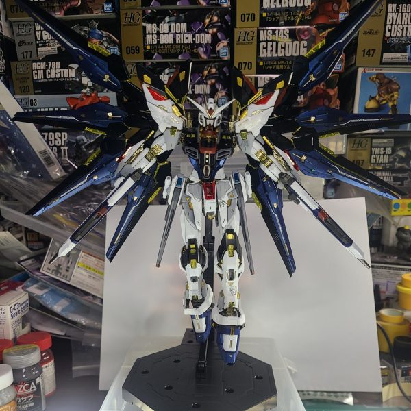 MGEXストライクフリーダム