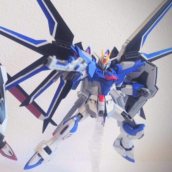 HG 1/144 ライジングフリーダム/イモータルジャスティス