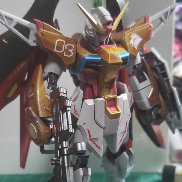 HGCE デスティニーガンダム ハイネカラー