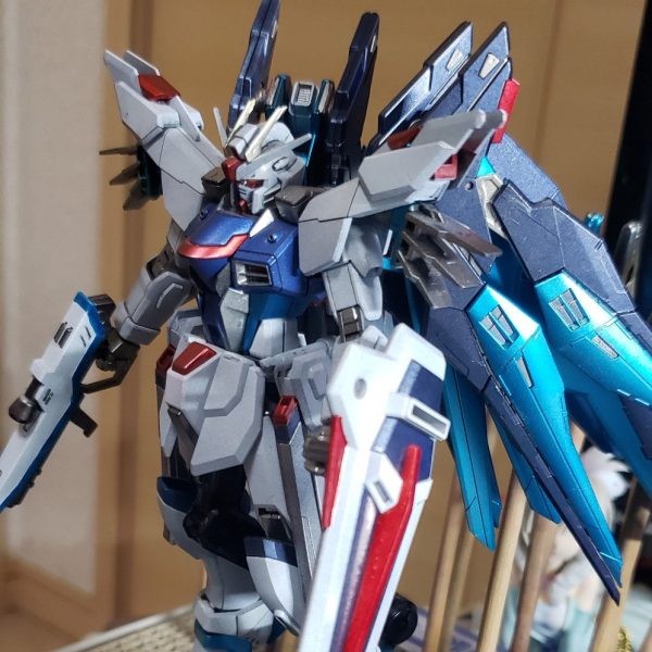 RGストライクフリーダム、ウィング、ゼフィランサス HG