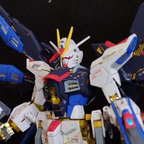 RG ストライクフリーダムガンダム