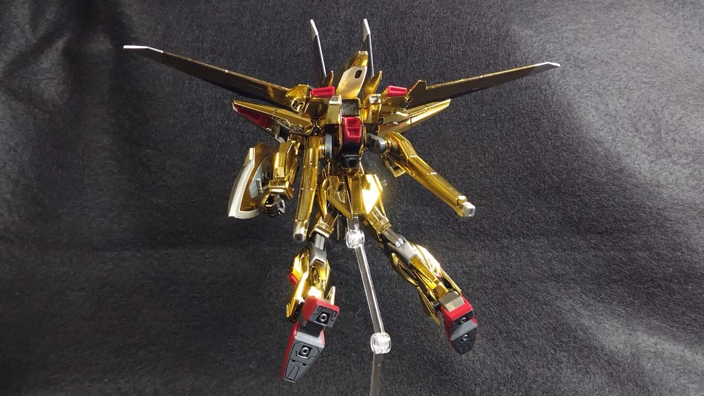 バックショットです。飛行形態はやっぱりいいですね。オオワシの場合は地球圏で飛行しているのが似合いますね。撮影の背景も今後は工夫していきたい。