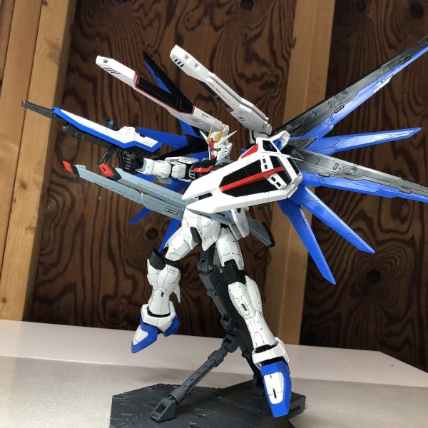 ZGMF-X10A フリーダムガンダム 1/100フルメカニクス Ver.GCP