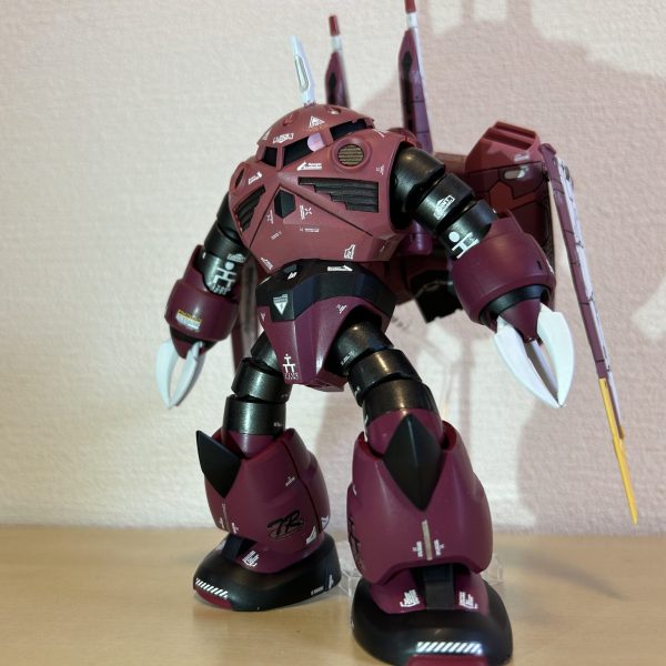 HGアスラン専用ズゴック（？）