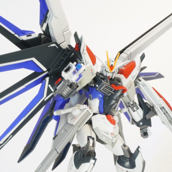 HG ライジングフリーダム(フリーダムカラー)