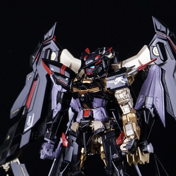 RG ガンダムアストレイ ゴールドフレーム 天ミナ