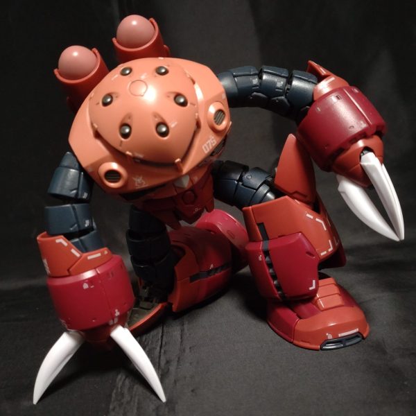 RG シャア専用ズゴック