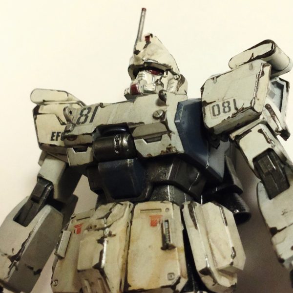 初めての全塗装