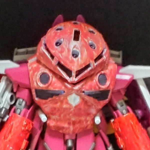 アスラン・ザラ　ジャ・・・・ゴック出る!!