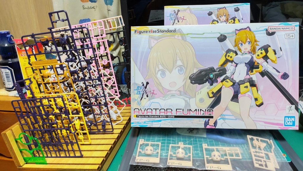 ボックスとランナー。イラストは30MSと同じフミカネ氏、これに惹かれて買ったのです。