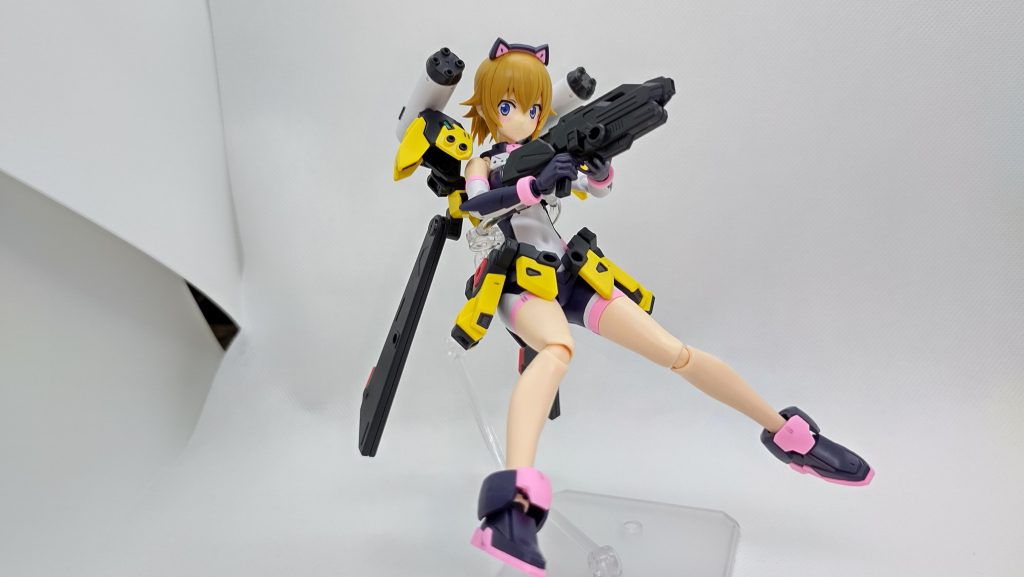 この照れてる風の顔、実にワカイイ。