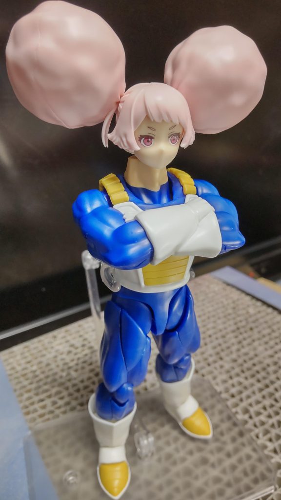 ではまずチュチュ・ベジータを用意します。うむ、戦闘力数値は充分高そうですね。