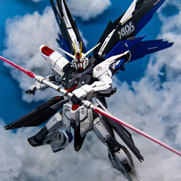 ZGMF-X10A フリーダム　MGver.2.0　全塗装