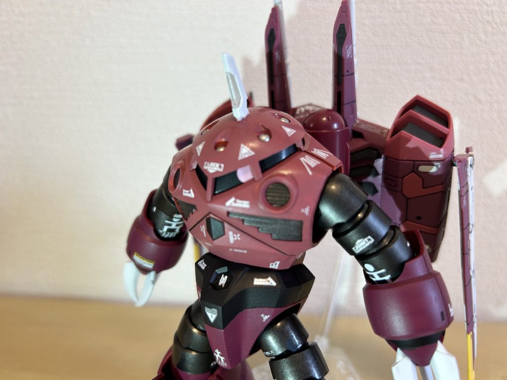 HGアスラン専用ズゴック（？）–2枚目/制作者：GAR