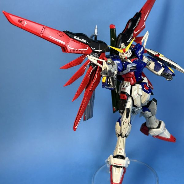 RG デスティニー