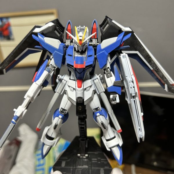 ライジングフリーダムガンダム