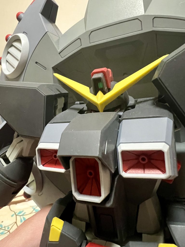 頭引っ込めて変形します。可愛い♥️