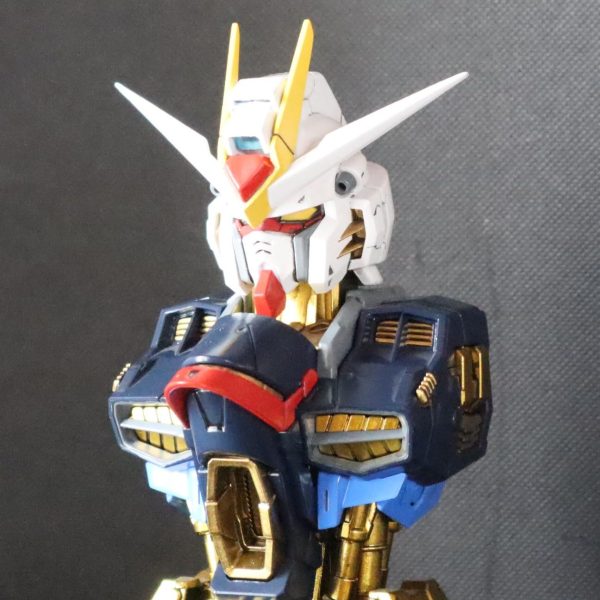 ストライクフリーダムガンダム（メカニカルバスト）