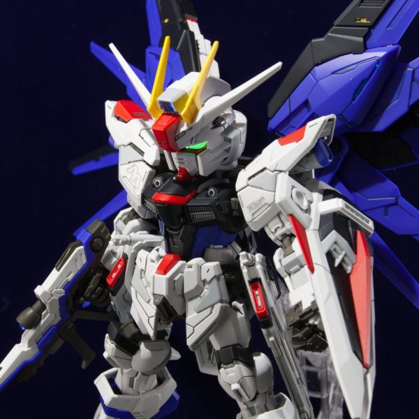 舞い降りる剣 verMGSD