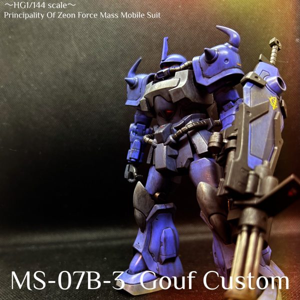 HG1/144 グフカスタム