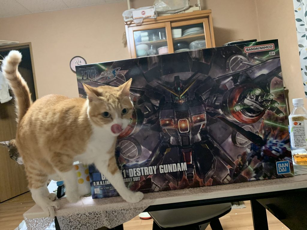 猫よりもデカい